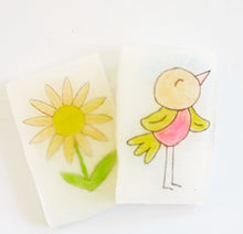 Melt and Pour Soap Kit : Spring Edition