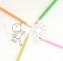 Melt and Pour Soap Kit : Spring Edition